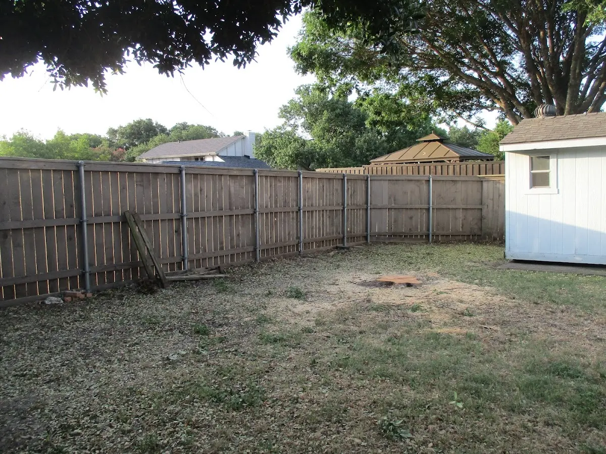 Cleared yard after professional tree removal in Fanwood